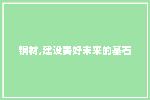 钢材,建设美好未来的基石