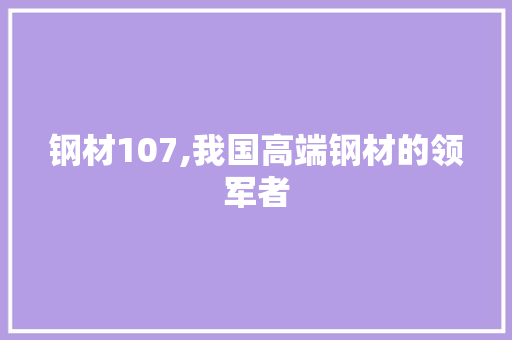 钢材107,我国高端钢材的领军者