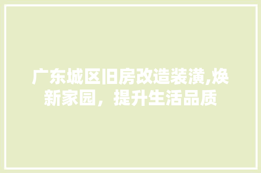 广东城区旧房改造装潢,焕新家园，提升生活品质