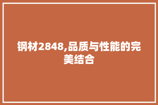 钢材2848,品质与性能的完美结合