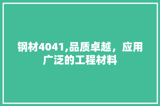 钢材4041,品质卓越，应用广泛的工程材料