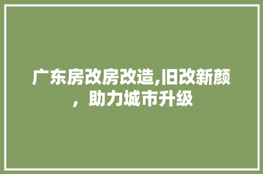 广东房改房改造,旧改新颜，助力城市升级