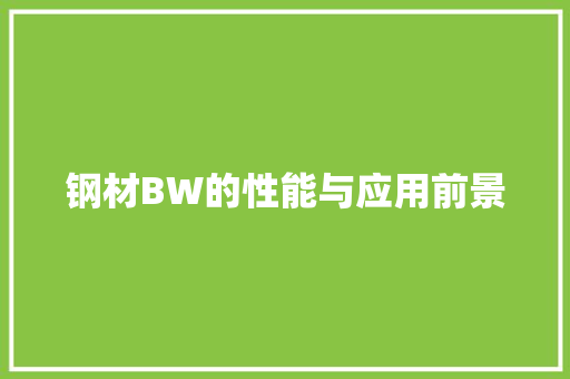 钢材BW的性能与应用前景