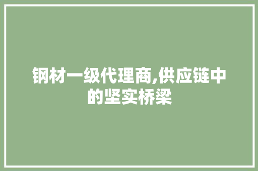 钢材一级代理商,供应链中的坚实桥梁