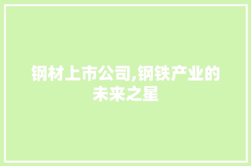 钢材上市公司,钢铁产业的未来之星