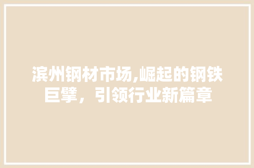 滨州钢材市场,崛起的钢铁巨擘，引领行业新篇章