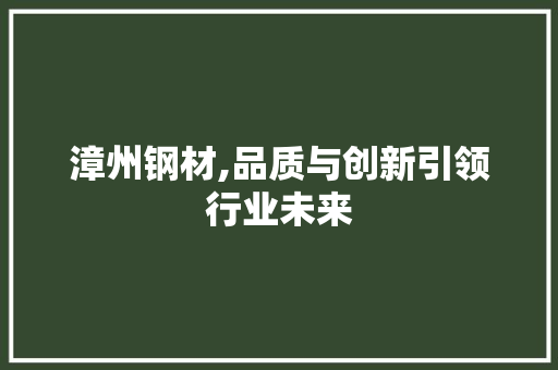 漳州钢材,品质与创新引领行业未来