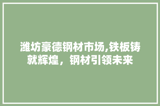 潍坊豪德钢材市场,铁板铸就辉煌，钢材引领未来