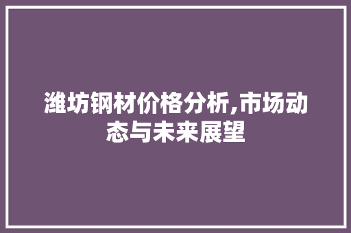 潍坊钢材价格分析,市场动态与未来展望 门窗装修