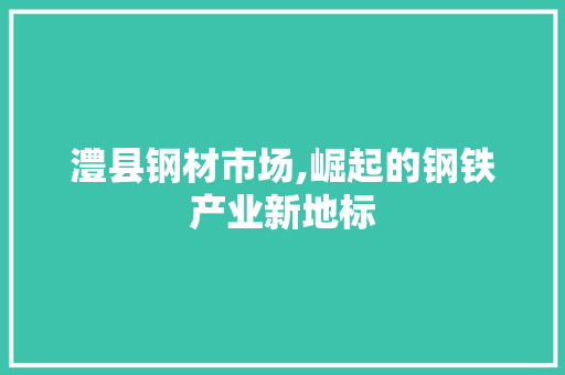 澧县钢材市场,崛起的钢铁产业新地标 建筑设计