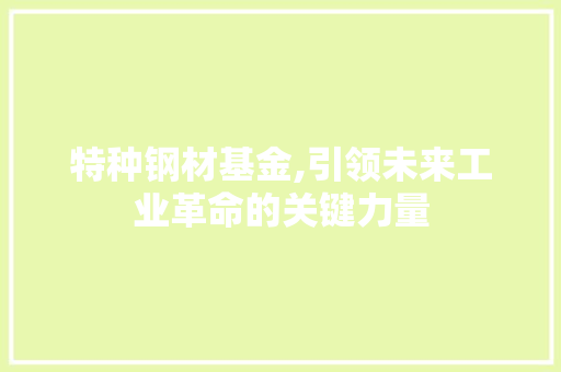 特种钢材基金,引领未来工业革命的关键力量