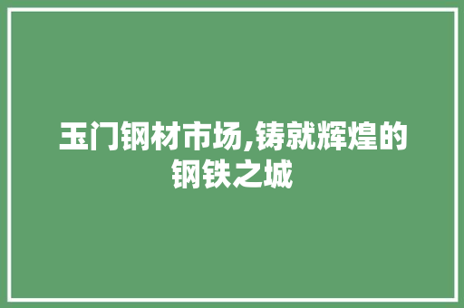 玉门钢材市场,铸就辉煌的钢铁之城