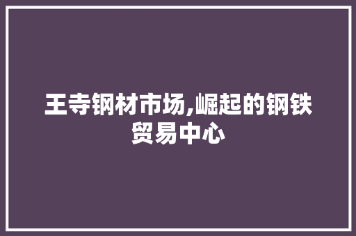 王寺钢材市场,崛起的钢铁贸易中心