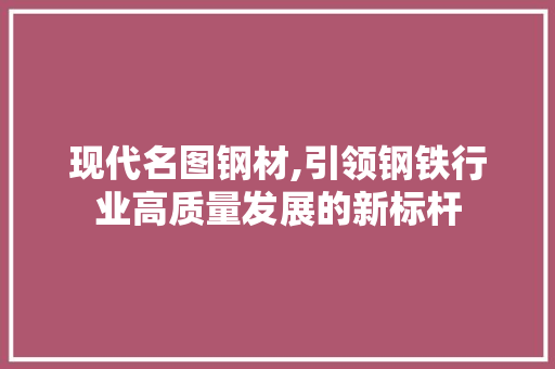 现代名图钢材,引领钢铁行业高质量发展的新标杆