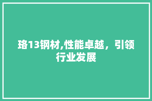 珞13钢材,性能卓越，引领行业发展 地面装修