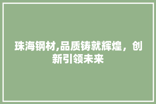 珠海钢材,品质铸就辉煌，创新引领未来