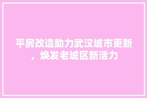 平房改造助力武汉城市更新，焕发老城区新活力 门窗装修