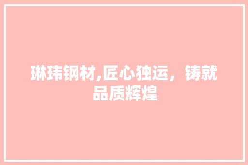 琳玮钢材,匠心独运，铸就品质辉煌