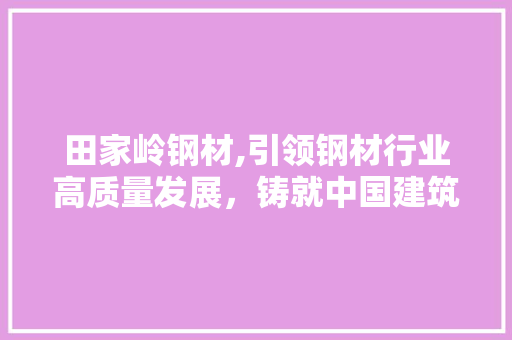 田家岭钢材,引领钢材行业高质量发展,铸就中国建筑钢铁新篇章