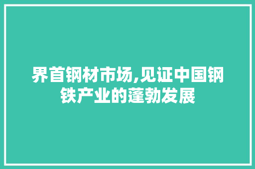 界首钢材市场,见证中国钢铁产业的蓬勃发展