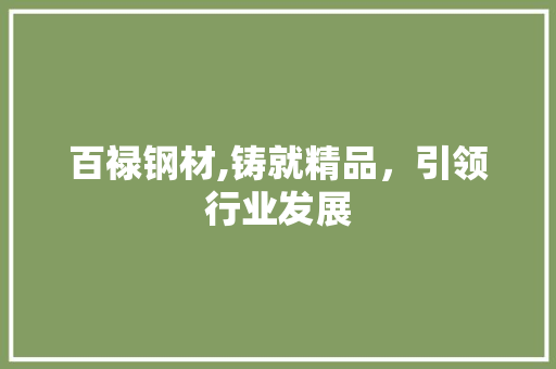 百禄钢材,铸就精品，引领行业发展