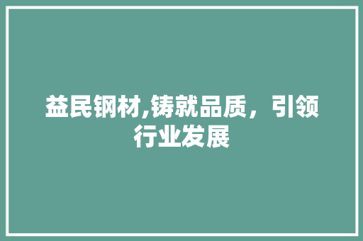 益民钢材,铸就品质，引领行业发展