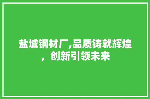 盐城钢材厂,品质铸就辉煌，创新引领未来