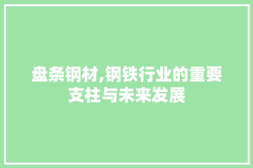 盘条钢材,钢铁行业的重要支柱与未来发展