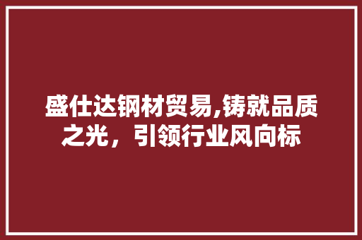 盛仕达钢材贸易,铸就品质之光，引领行业风向标