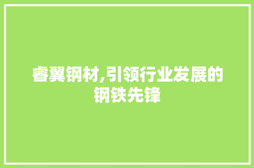 睿翼钢材,引领行业发展的钢铁先锋