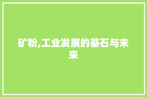 矿粉,工业发展的基石与未来