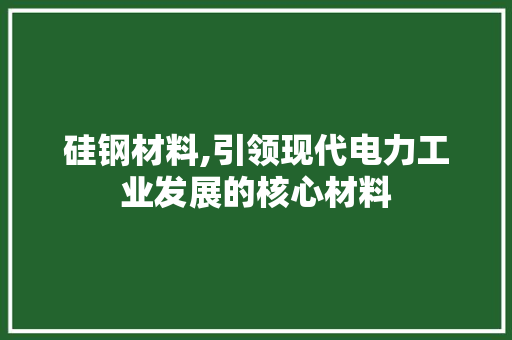 硅钢材料,引领现代电力工业发展的核心材料