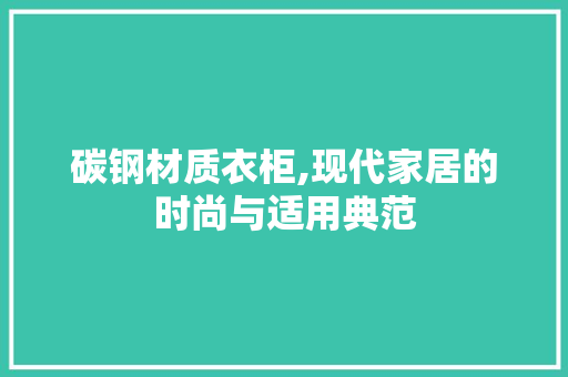 碳钢材质衣柜,现代家居的时尚与适用典范