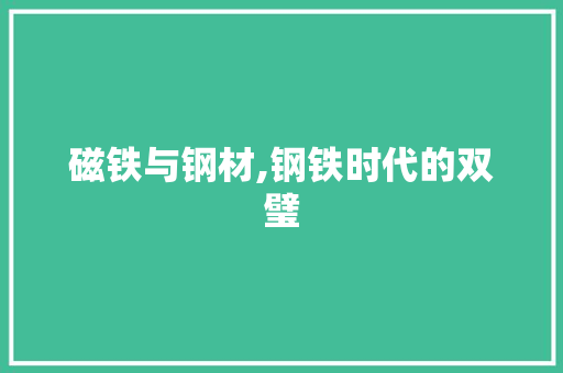 磁铁与钢材,钢铁时代的双璧