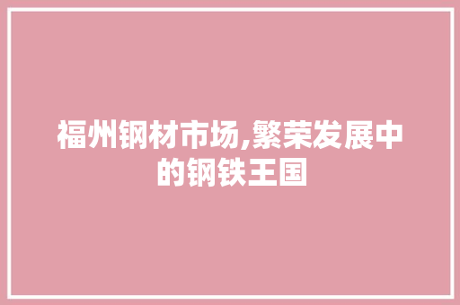 福州钢材市场,繁荣发展中的钢铁王国