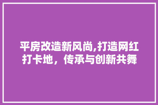平房改造新风尚,打造网红打卡地，传承与创新共舞 隔断设计