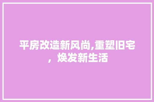 平房改造新风尚,重塑旧宅，焕发新生活