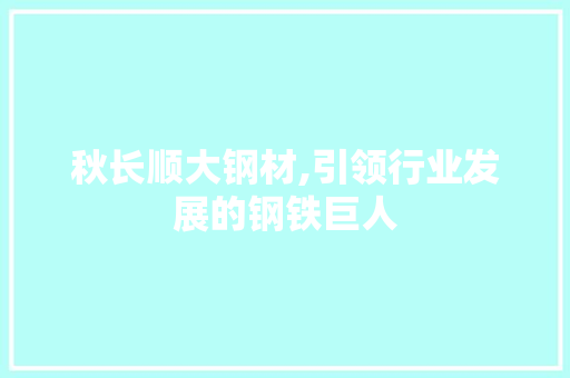 秋长顺大钢材,引领行业发展的钢铁巨人