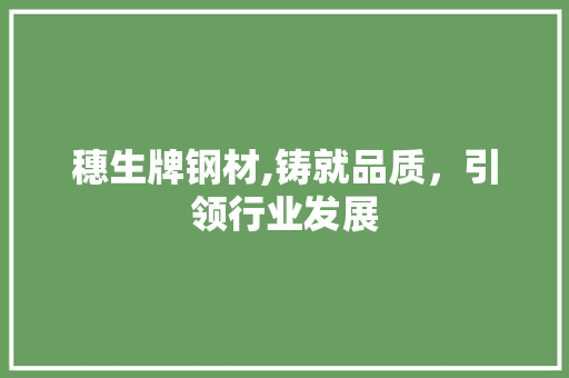 穗生牌钢材,铸就品质，引领行业发展