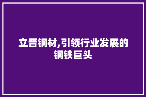 立晋钢材,引领行业发展的钢铁巨头
