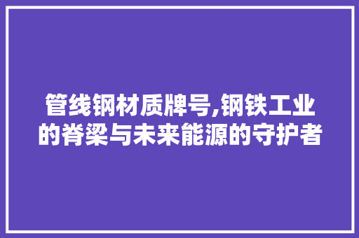 管线钢材质牌号,钢铁工业的脊梁与未来能源的守护者