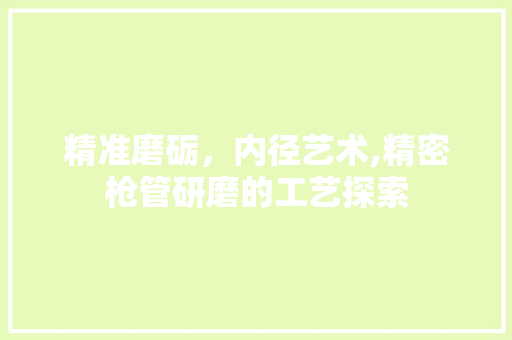 精准磨砺，内径艺术,精密枪管研磨的工艺探索