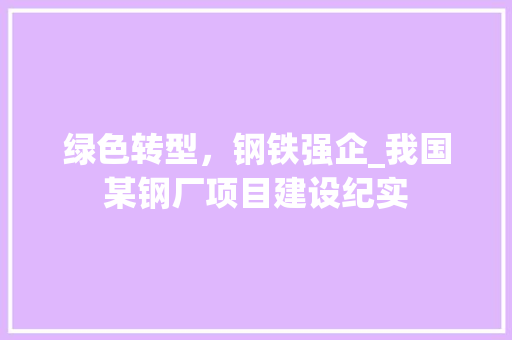 绿色转型，钢铁强企_我国某钢厂项目建设纪实