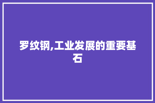 罗纹钢,工业发展的重要基石