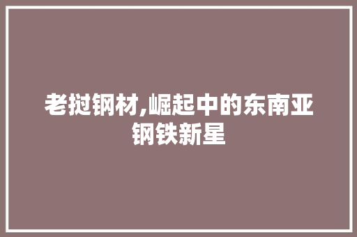老挝钢材,崛起中的东南亚钢铁新星