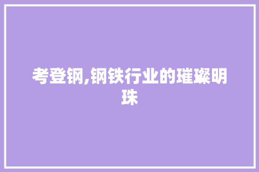 考登钢,钢铁行业的璀璨明珠