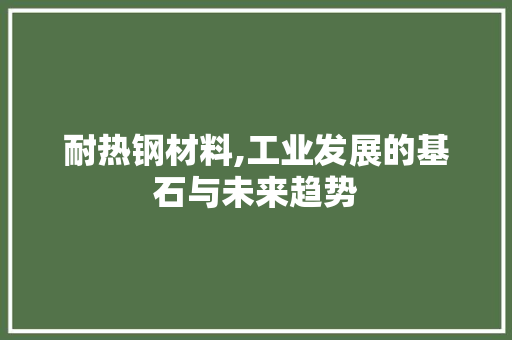 耐热钢材料,工业发展的基石与未来趋势