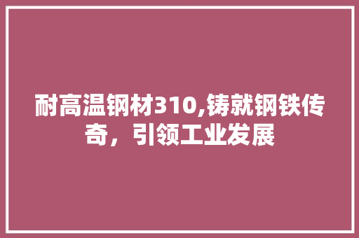 耐高温钢材310,铸就钢铁传奇，引领工业发展