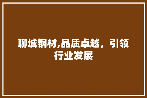 聊城钢材,品质卓越，引领行业发展