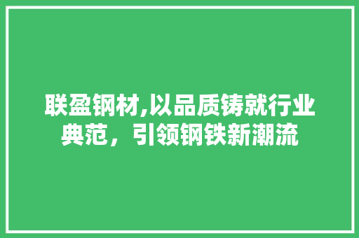 联盈钢材,以品质铸就行业典范，引领钢铁新潮流